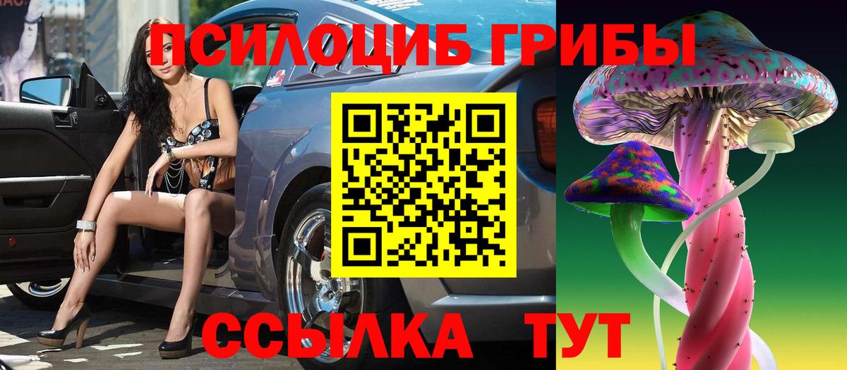 Псилоцибиновые грибы GOLDEN TEACHER  Вход с VPN  Россия  Галлюциногенные грибы Cubensis 